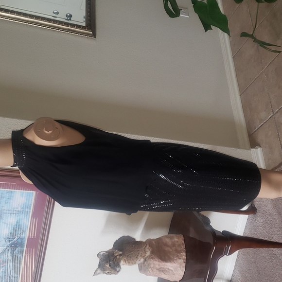 Cache 2 beaded mockneck & skirt flowy upper keyhole back - Picture 4 of 11